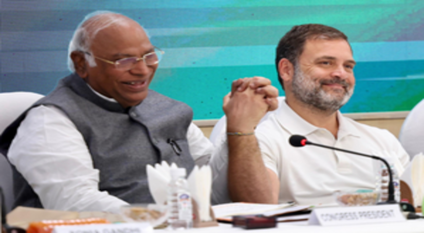 राहुल गांधी को ही नेता प्रतिपक्ष बनना चाहिए, सीडब्ल्यूसी की बैठक में एक सुर से मांग