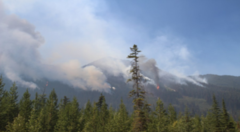 कनाडा में जंगल में लगी भीषण आग, साढ़े तीन हजार लोगों को घर छोड़ना पड़ा